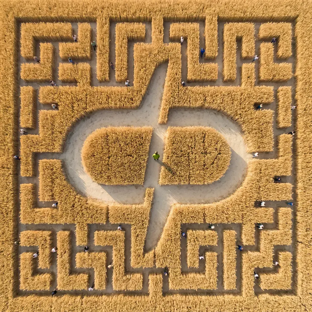 Vista aérea de um labirinto colossal cortado num campo de trigo dourado, com dezenas de pessoas minúsculas espalhadas pelos becos sem saída. O único caminho que atravessa o labirinto desenha, visto de cima, o símbolo da digigroup, e no meio dele há uma pessoa sozinha.